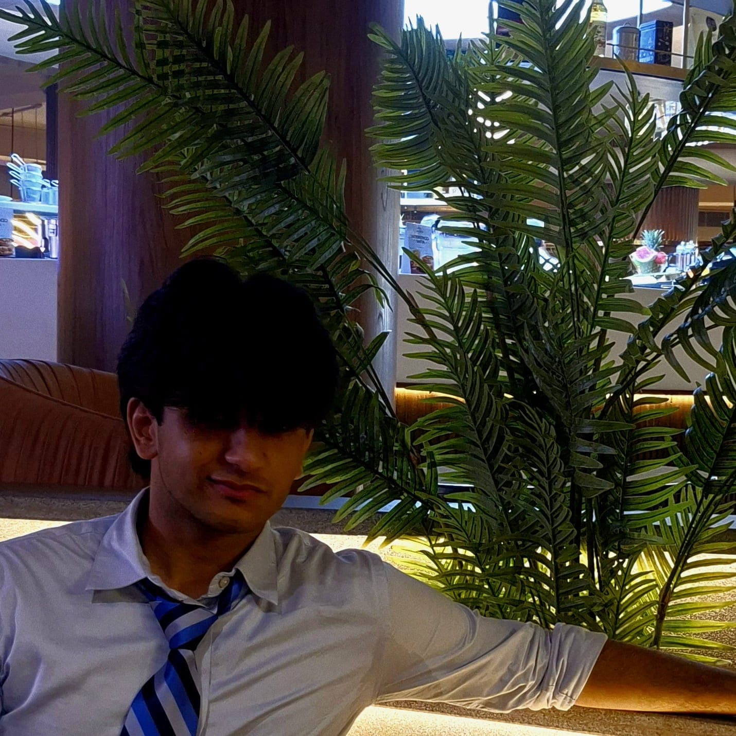 Yashveer Singh Rajpoot